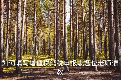 增值稅納稅申報表如何填報，增值稅申報表如何填寫