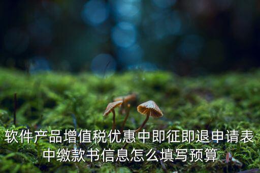 即征即退的退稅申請(qǐng)表如何填寫(xiě)，軟件產(chǎn)品增值稅優(yōu)惠中即征即退申請(qǐng)表中繳款書(shū)信息怎么填寫(xiě)預(yù)算