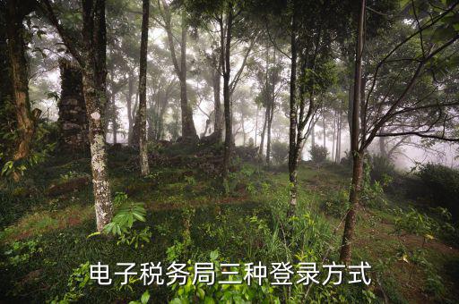 遼寧省網(wǎng)上稅務(wù)局如何登錄，可以用手機登陸遼寧省電子稅務(wù)局嗎