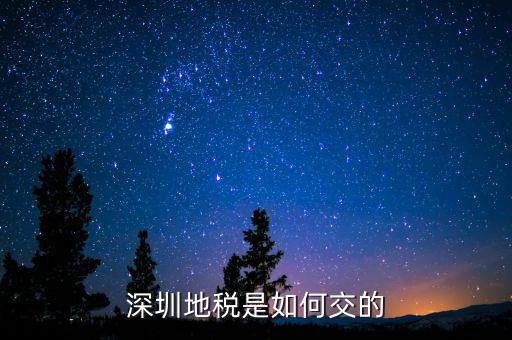 深圳市國家稅務(wù)局如何交稅，深圳市公司網(wǎng)上報(bào)國稅要這么操作啊