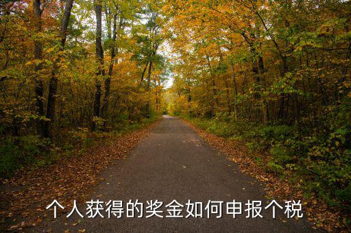 如何將獎(jiǎng)金的稅款繳納至稅務(wù)局，個(gè)人獲得的獎(jiǎng)金如何申報(bào)個(gè)稅