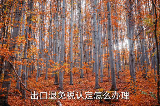 企業(yè)出口免退稅如何辦理，外貿(mào)公司出口免稅產(chǎn)品在出口退稅系統(tǒng)里面該如何辦理免稅申報