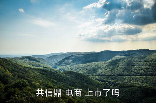 電商怎么上市,南極電商在納斯達(dá)克上市騰訊、慧聰網(wǎng)香港上市