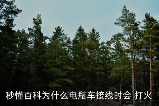 電動車充電時(shí)打火怎么回事,電動踏板車怎么充電?!