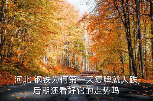 河北 鋼鐵為何第一天復牌就大跌,后期還看好它的走勢嗎