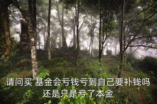 請(qǐng)問(wèn)買(mǎi) 基金會(huì)虧錢(qián)虧到自己要補(bǔ)錢(qián)嗎還是只是虧了本金