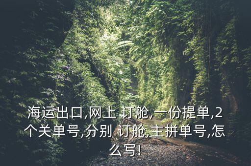 海運(yùn)出口,網(wǎng)上 訂艙,一份提單,2個(gè)關(guān)單號,分別 訂艙,主拼單號,怎么寫!
