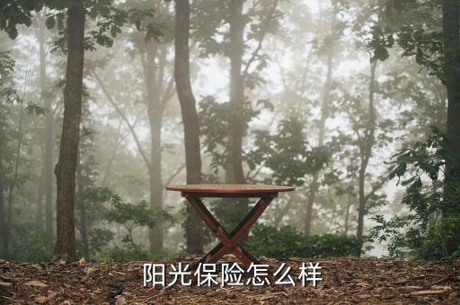 陽光保險(xiǎn)意外險(xiǎn)怎么樣,陽光保險(xiǎn)獲2019年度服務(wù)創(chuàng)新獎