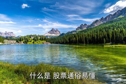 怎么懂股票,股票基礎(chǔ)、股票定投、投資書籍等資源免費下載