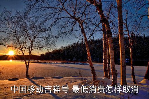 怎么關(guān)閉最低消費額,手機營銷活動必須達到承諾消費金額最低