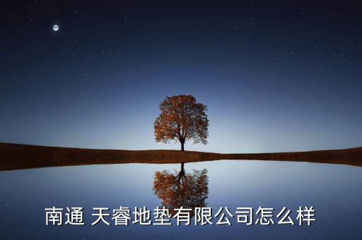 天?？臻g怎么樣,南通天睿電子有限公司注冊(cè)成立