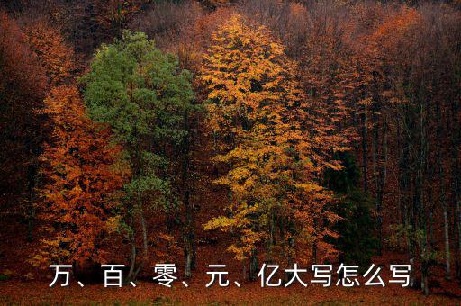 萬、百、零、元、億大寫怎么寫
