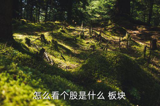 怎么看一只股票是什么板塊,周一開(kāi)盤(pán)必須知道的股票