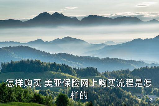美亞保險怎么報險,春運如何購買保險?可在線投保、索賠