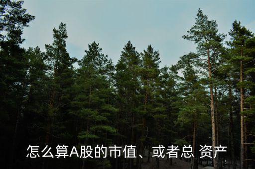 怎么算A股的市值、或者總 資產(chǎn)