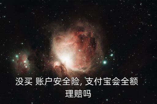 沒(méi)買(mǎi) 賬戶(hù)安全險(xiǎn), 支付寶會(huì)全額 理賠嗎
