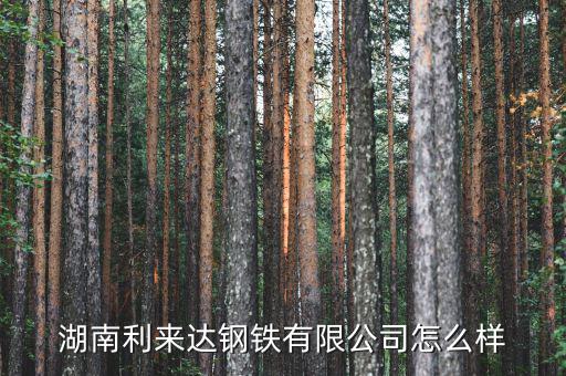 快利來怎么購買,全利來人堅(jiān)持以誠(chéng)信創(chuàng)品牌創(chuàng)新求發(fā)展