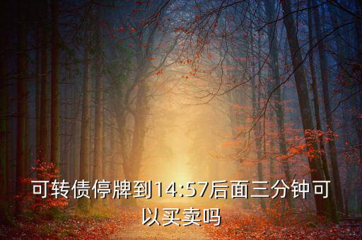 海印配債是怎么回事,《企業(yè)會(huì)計(jì)準(zhǔn)則》第12號債務(wù)重組