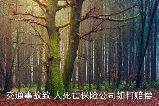 人死了保險怎么賠,交通事故人死保險公司賠償這些費(fèi)用嗎?