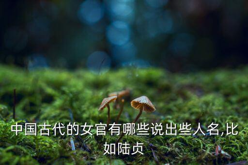 尚乘中國(guó)怎么樣,開(kāi)復(fù)電視臺(tái)新增三個(gè)職能部門包括四司三公