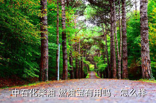  中石化柴油 燃油寶有用嗎、怎么樣