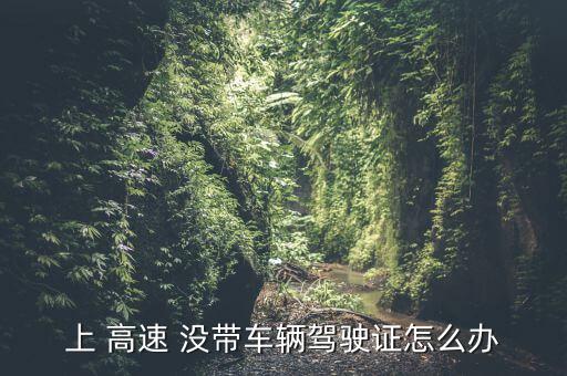 上 高速 沒(méi)帶車輛駕駛證怎么辦