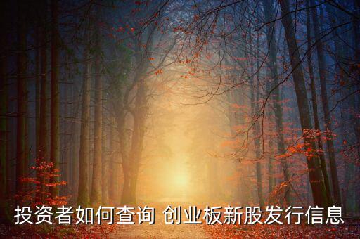 投資者如何查詢(xún) 創(chuàng)業(yè)板新股發(fā)行信息