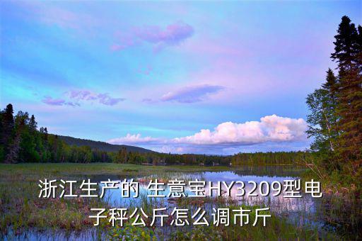 浙江生產的 生意寶HY3209型電子秤公斤怎么調市斤