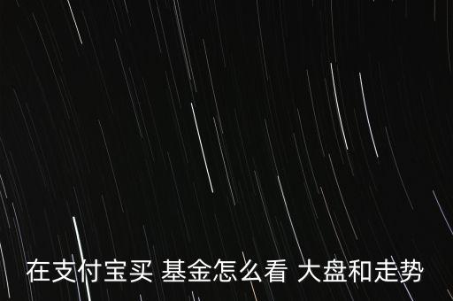 在支付寶買 基金怎么看 大盤(pán)和走勢(shì)