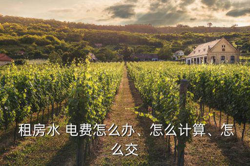  租房水 電費(fèi)怎么辦、怎么計(jì)算、怎么交
