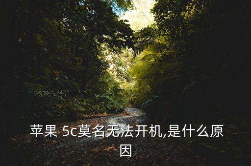 蘋果5c怎么老打不通,手機連接互聯網絡出現故障怎么辦?
