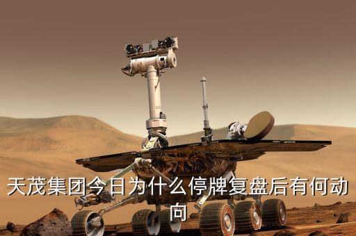 天茂集團(tuán)什么時(shí)候開盤，天茂集團(tuán)今日為什么停牌復(fù)盤后有何動(dòng)向