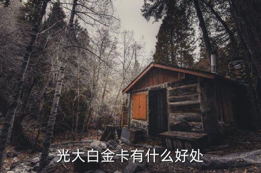 光大微稅聯(lián)白金卡有什么好處，光大銀行白金卡的好處我提供本人的100平以上的房產(chǎn)證和作為法人