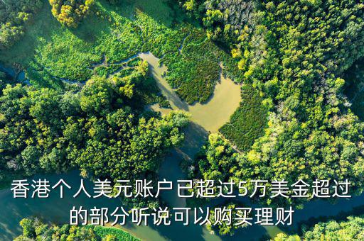 美元在香港投資什么比較好，香港個人美元賬戶已超過5萬美金超過的部分聽說可以購買理財