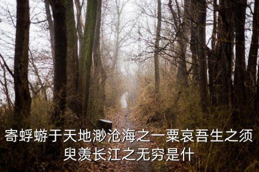 寄蜉蝣于天地渺滄海之一粟哀吾生之須臾羨長(zhǎng)江之無(wú)窮是什