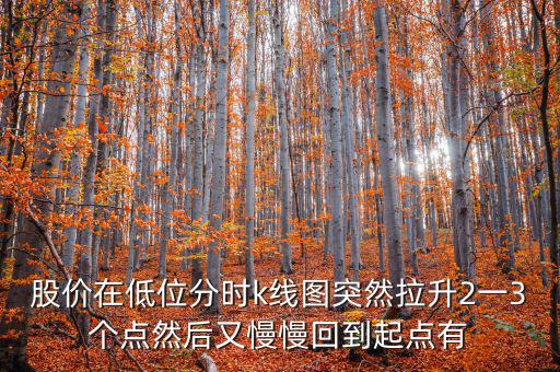 低位反彈之后加速拉升什么情況，股價在低位分時k線圖突然拉升2一3個點然后又慢慢回到起點有