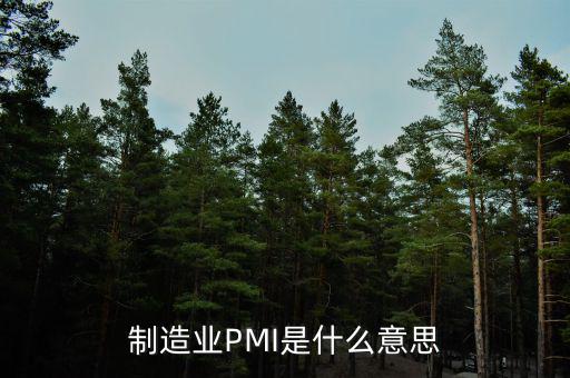 什么是pmi，制造業(yè)PMI是什么意思