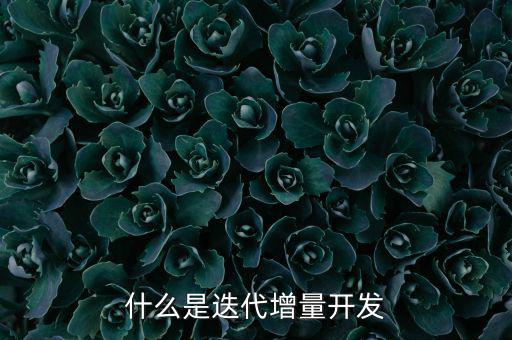 什么是增量發(fā)展，物理意義上的增量是什么意思
