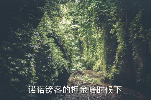 諾諾鎊客里的收本金額是什么，諾諾鎊客的押金啥時(shí)候下