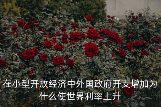 在小型開放經(jīng)濟中外國政府開支增加為什么使世界利率上升