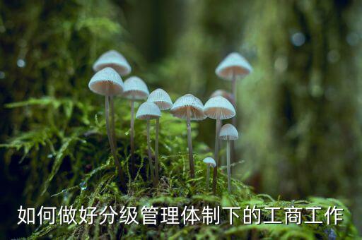 什么是分層分級管理，如何做好分級管理體制下的工商工作