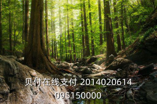 貝付支付和658金融什么關系，貝付在線支付 2014020614095150000