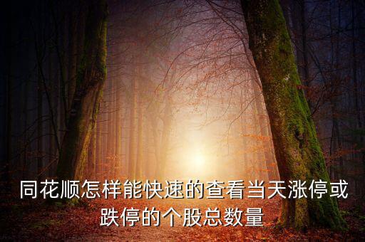  同花順怎樣能快速的查看當天漲?；虻５膫€股總數(shù)量