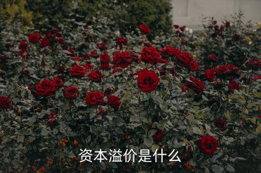 什么是溢價，什么是資本溢價