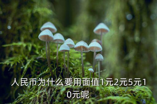 為什么人民幣面值，人民幣為什么要用面值1元2元5元10元呢