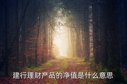 凈值類理財(cái)產(chǎn)品什么意思，什么是凈值型理財(cái)產(chǎn)品