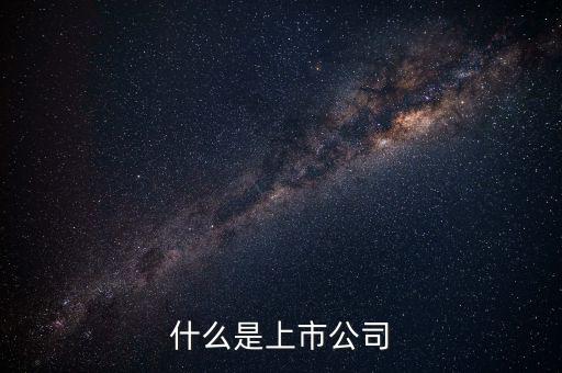 上市公司代表什么，上市公司什么意思