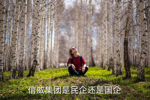 信威集團(tuán)是什么公司，信威集團(tuán)是民企還是國企