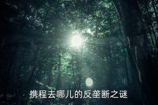 梁建章為什么離開攜程，攜程老板梁建章對(duì)公司的投訴難道只會(huì)說抱歉嗎這簡(jiǎn)直有死