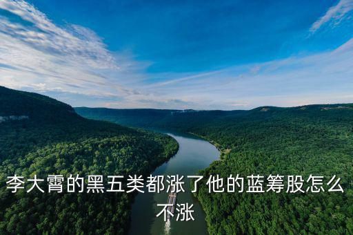 藍(lán)籌股為什么不漲，李大霄的黑五類都漲了他的藍(lán)籌股怎么不漲
